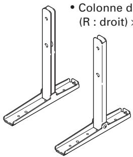 PIONEER PDK-TS27A - Vérification des pièces fournies - 2