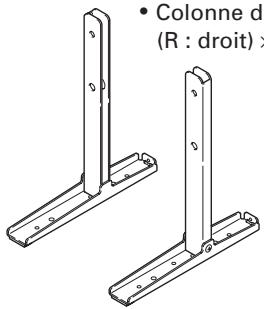 PIONEER PDK-TS29A - Vérification des pièces fournies - 5