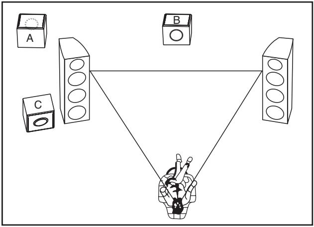 PIONEER SW-8 - Environnement d'utilisation - 1