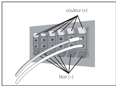 PIONEER BCS-414 - Branchez les fils sur le lecteur. - 1