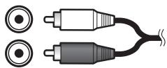 PIONEER HTP-700 - Câbles audio analogiques - 1
