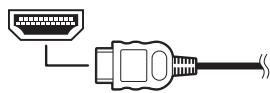 PIONEER HTP-700 - HDMI-kabels - 1