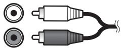 PIONEER HTP-FS510 - Câbles audio analogiques - 1