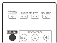 PIONEER HTP-FS510 - Belangrijk - 1
