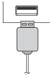 PIONEER X-HM10-S - iPad-aansluiting (USB-aansluitpunt) - 2