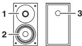 PIONEER X-HM10-S - Sistema de altevoces - 1