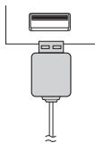 PIONEER X-HM10-S - Conexión de un iPad (terminal USB) - 2