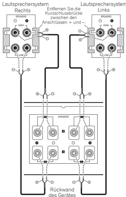 PIONEER A-50 - "Bi-wiring" (Doppelverkabelung) - 1