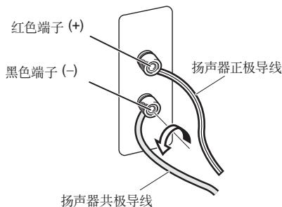 PIONEER S-31-LR-QL - 连接电缆 - 1