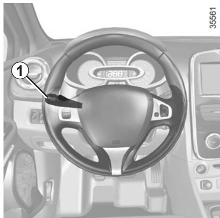 RENAULT CLIO IV ESTATE - Feux de position - 1