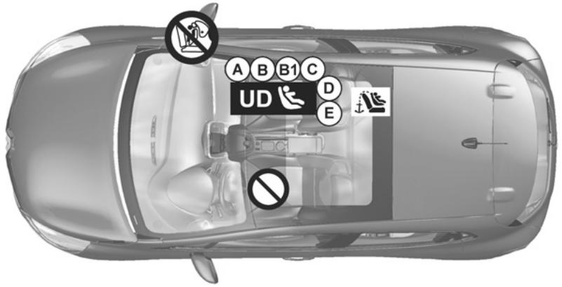 RENAULT CLIO IV ESTATE - Visuel d'installation version société - 1