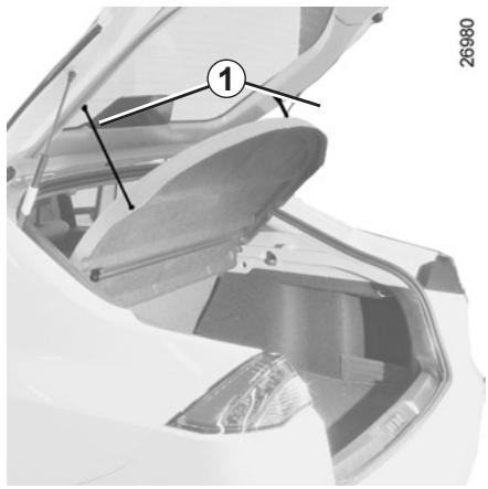 RENAULT LAGUNA III - Restriction d'utilisation - 1