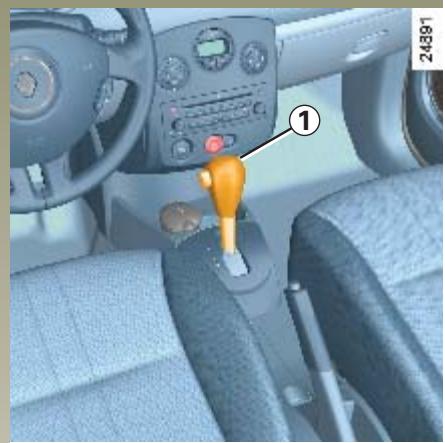 RENAULT CLIO 2 2005 - Arrêt de la fonction - 2