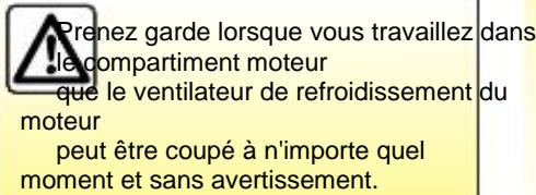 RENAULT KANGOO 2002 - FEUX ANTIBROULLARD: Modification des ampôules - 3