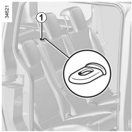 RENAULT KANGOO ZE - Restriction d'utilisation - 2