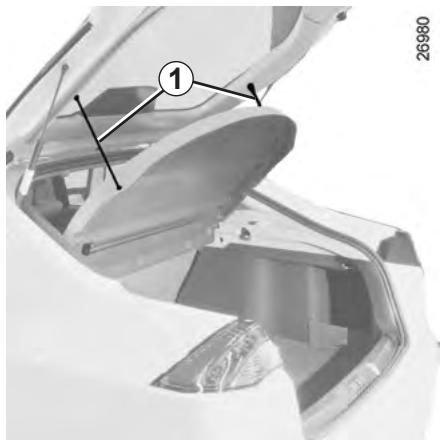 RENAULT LAGUNA 3 - Restriction d'utilisation - 2