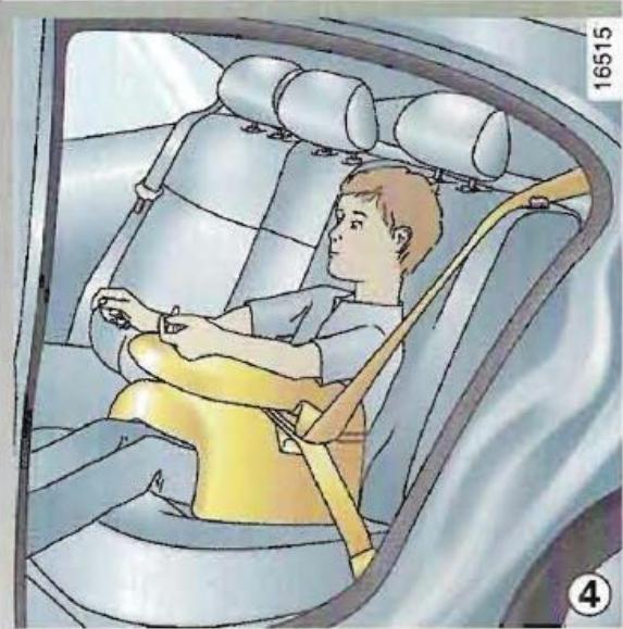 RENAULT MEGANE 1 - Catégorie 2 (15 à 25 kg) - 1
