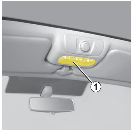 RENAULT SCENIC 2 2006 - FEUX ARRÈRE (suite) ET LATERAUX : remplacement des lampes - 2