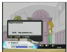 SAGEM ITD59NDL FR - Utilisation du récepteur - 2