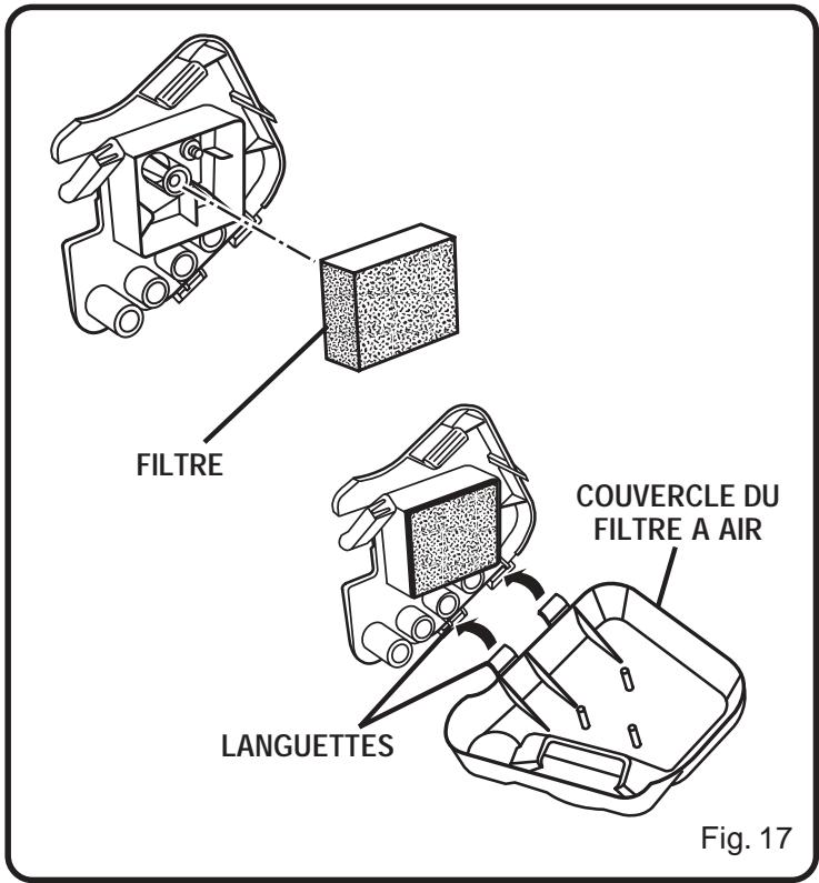 RYOBI PLT3043A - Remisage (1 mois ou plus) - 2