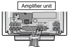 Amplifier unit