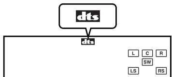 SHARP SD-HX500 - DTS (Digital Theater Systems) - 2