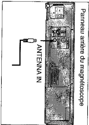 SHARP VC-A47SM - Raccordements - 1