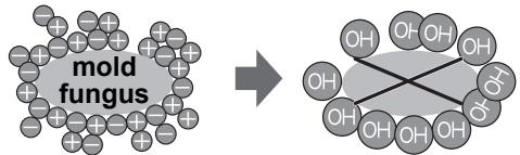 SHARP SJ-PT520R - Notes about PLASMACLUSTER operation - 1