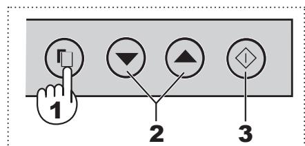 SHARP SJ-RP360T - PIEZIME - 2