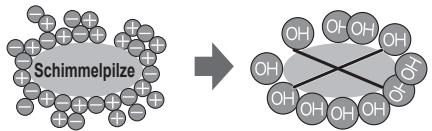 SHARP SJ-RP360T - Ionisator "Plasmacluster" - 1