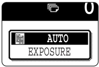 AUTO EXPOSURE