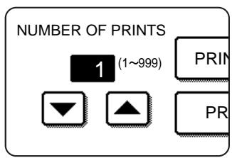 NUMBER OF PRINTS 1 (1~999) PRIN PR