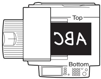 Top DBA Bottom