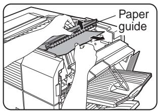 Paper guide