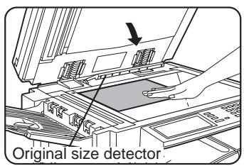 Original size detector