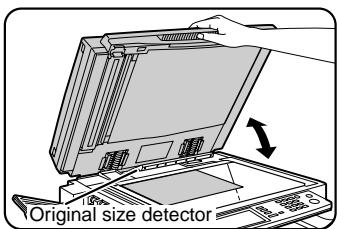 Original size detector