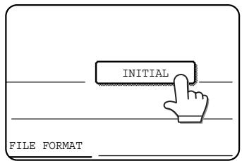 INITIAL FILE FORMAT