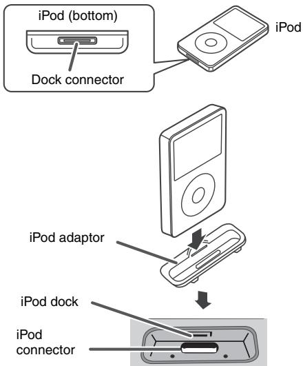 iPod (bottom) Dock connector iPod iPod adaptor iPod dock iPod connector
