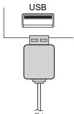 SHARP XL-HF151PHBK - ■ iPod, iPhone and iPad connection (USB only) - 3