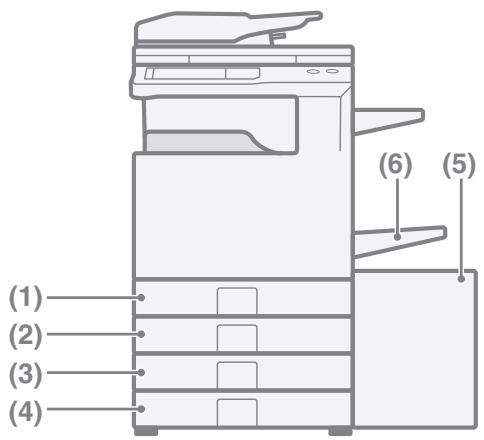 SHARP MX-2600N/3100N - Noms des magasins - 1