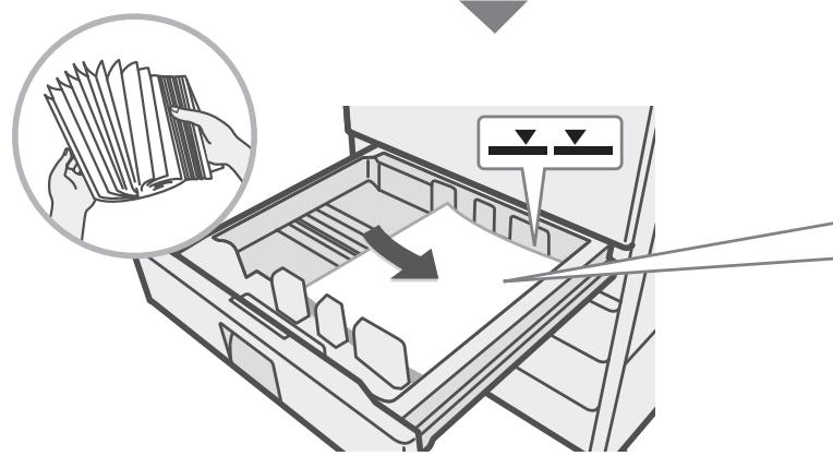 SHARP MX-2600N/3100N - Chargement du papier dans un magasin. - 3