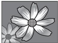 FUJIFILM FINEPIX XP160 - Conseils avancés - 3