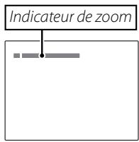FUJIFILM PREMIUM X20 - Cadrez la photo. - 2