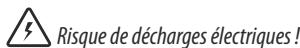 DELONGHI VVX1570 - Consignes fondamentales de sécurité - 1