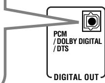 JVC RX-DP20 - Prise de sortie numérique - 2