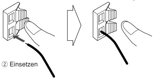 ② Einsetzen