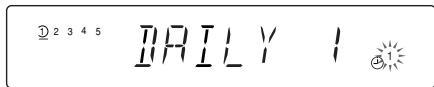 ① 2 3 4 5 BILY I ②