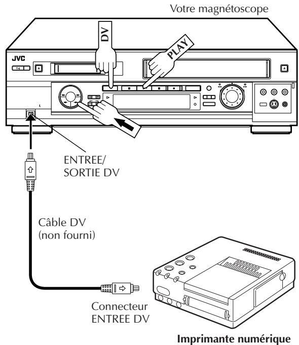 JVC HR-DVS2EU - Raccordement à une imprimante - 1