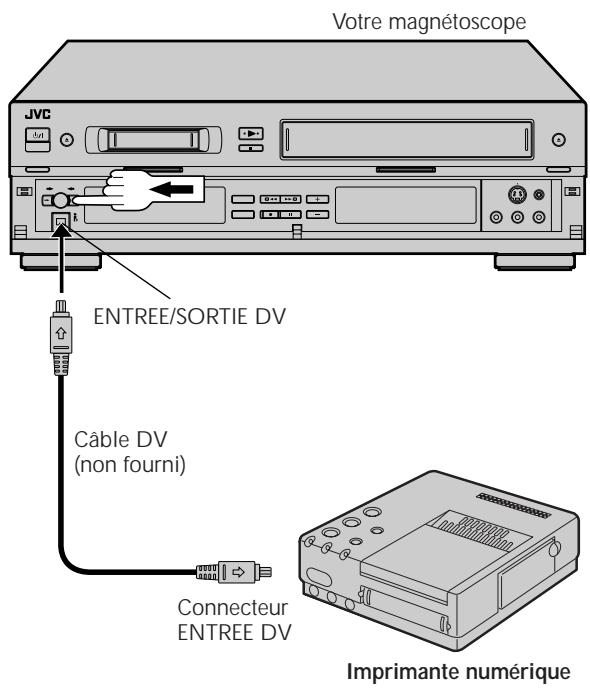JVC HR-DVS1MS - Raccordement à une imprimante - 1
