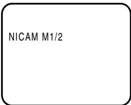 JVC HR-XV1MS - Réception NICAM MONO a b - 1